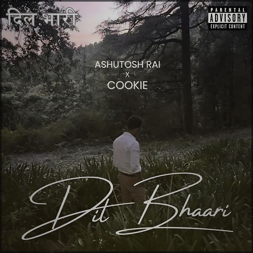 Dil Bhaari