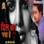 Dil Jaan Gaya Hai