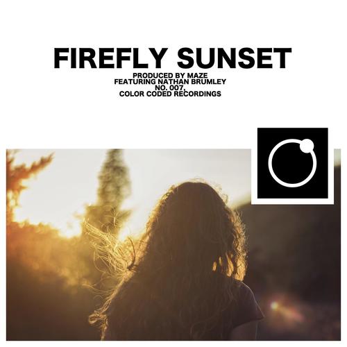 Firefly Sunset (feat. Nathan Brumley)_poster_image