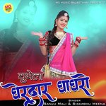 Ghumela Gherdar Ghaghro