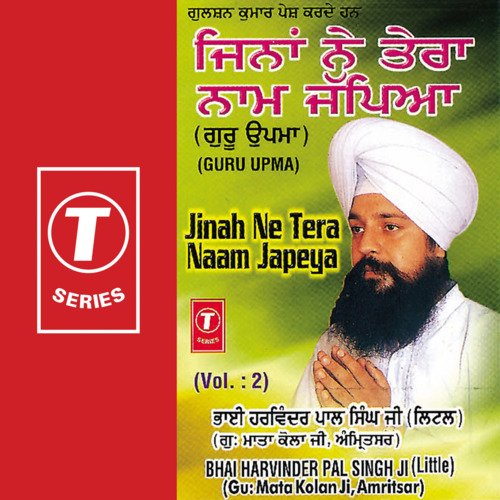 Jinah Ne Tera Naam Japeya Vol-2