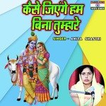 Kaise Jiyenge Ham Bina Tumhare