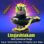 Lingashtakam