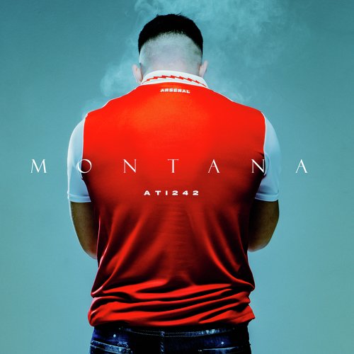 Montana cover art