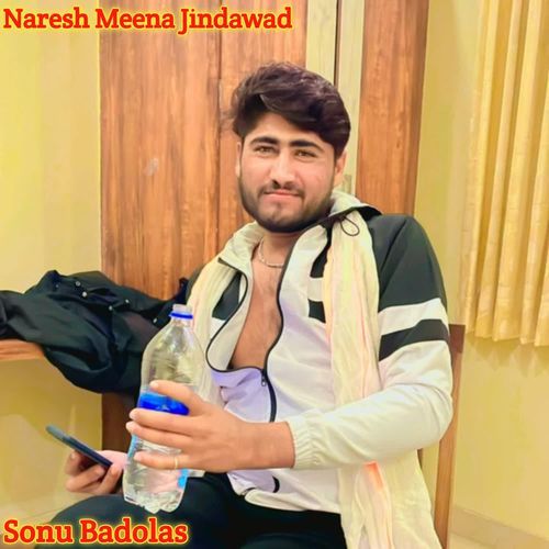 Naresh Meena Jindawad