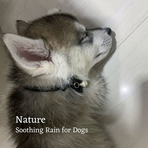 Rain Against Window cover art
