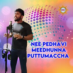 Nee Pedhavi Meedhunna Puttumaccha-AiYyCCJecHs