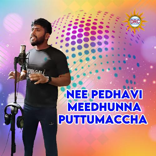 Nee Pedhavi Meedhunna Puttumaccha