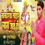 Nokariya Tohar Lag Jai