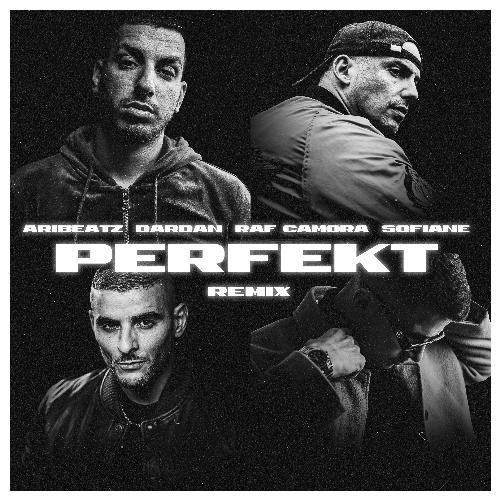 Perfekt (Remix)_poster_image