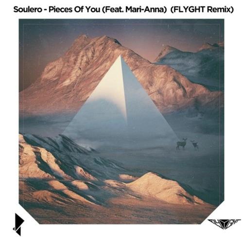 Pieces Of You (FLYGHT Remix) [feat. Mari - Anna]