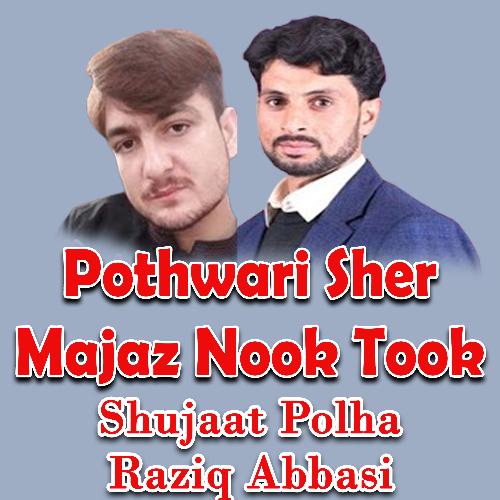 Pothwari Sher Majaz Nook Took