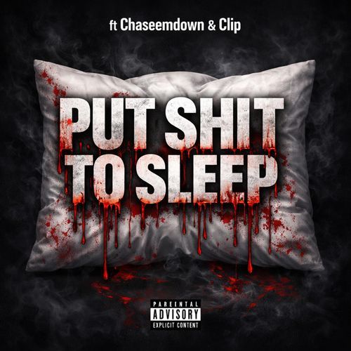 Put Shit To Sleep cover art