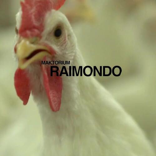 Raimondo cover art