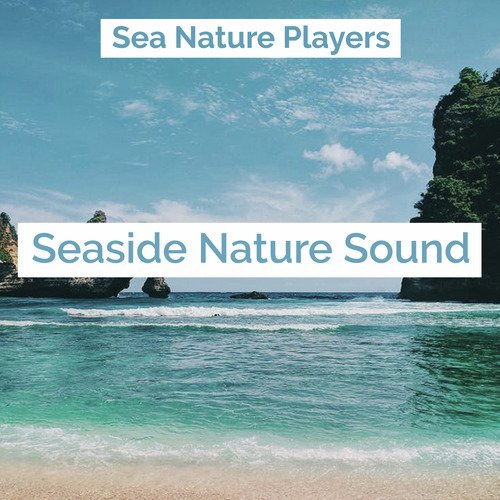 Heavy Current Shore cover art