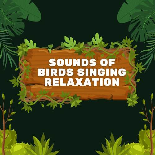 Sounds Of Birds Singing Relaxation