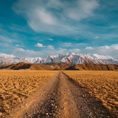 The Oasis of Pleasures