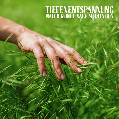 Tiefenentspannung (Natur klingt nach Meditation, Schwangerschaft Entspannungsmusik, Meditation Anfänger, Muskelentspannung, Einschlafen mit perfekten Klängen)