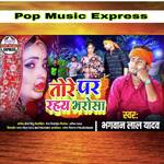 Tore Par Rahe Bharosha.wav (Remix)