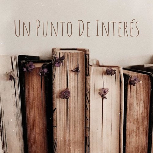 Un Punto De Interés_poster_image