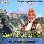 Veel Kauchhi