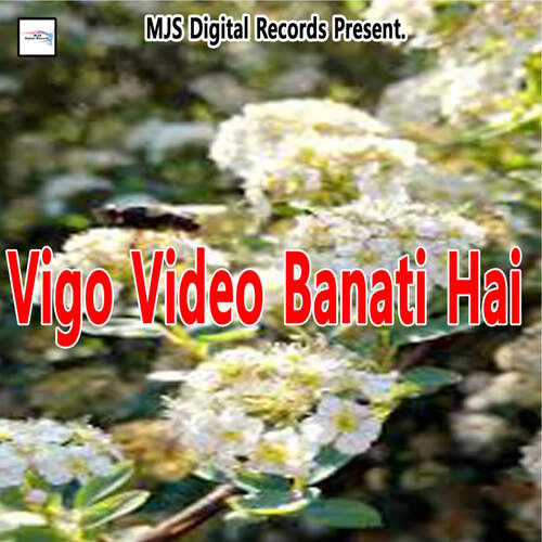 Vigo Video Banati Hai