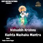 Vishuddh Krishna Kashta Nashaka Mantra
