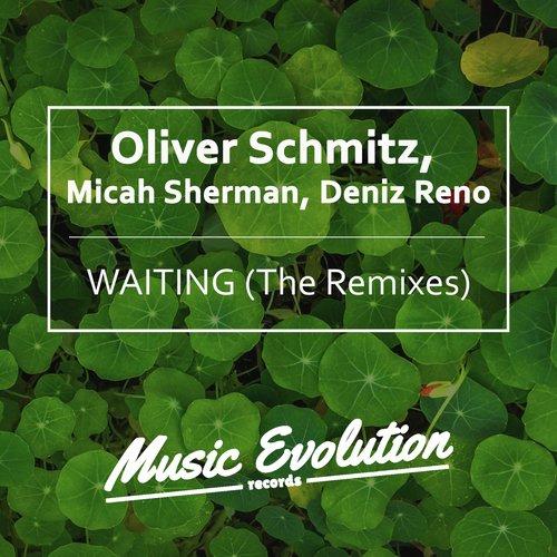 Waiting (The Remixes)