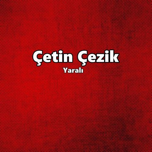 Yaralı cover art