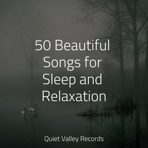 Sleep Music cover art