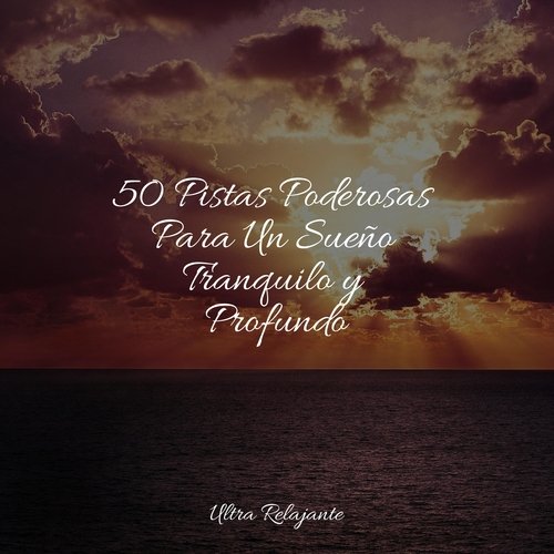 50 Pistas Poderosas Para Un Sueño Tranquilo y Profundo