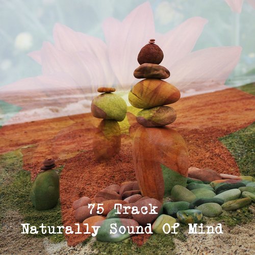 75 Track Naturally Sound Of Mind