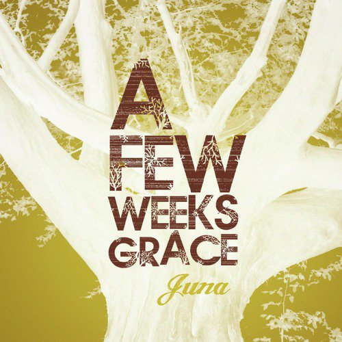 A Few Weeks Grace_poster_image