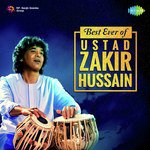 Best Ever Of Ustad Zakir Hussain