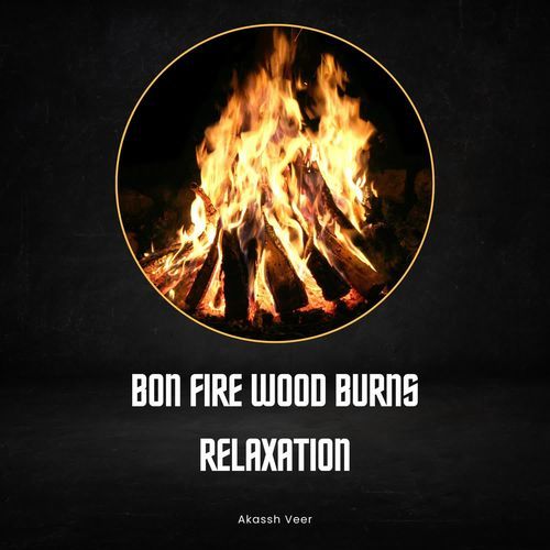 Bon Fire Wood Burns Relaxation