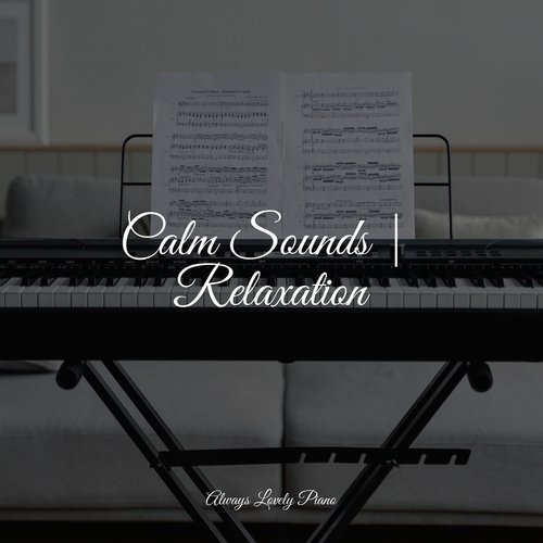 Calm Sounds | Relaxation