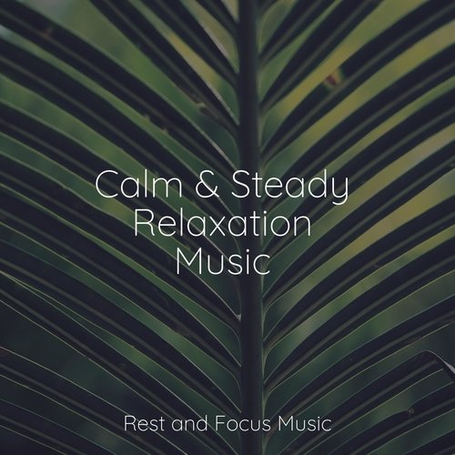 Calm Universe cover art