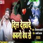 Dil Dekhade Kavno Vaidh Se (Bewafai Song)