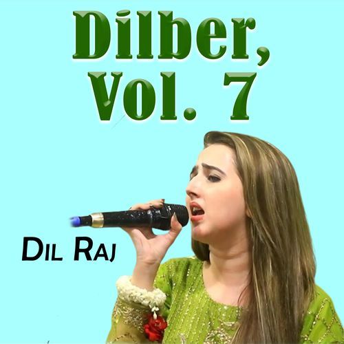 Dilber, Vol. 7