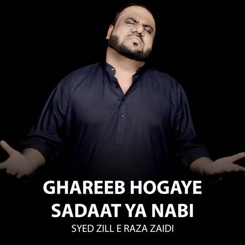 Ghareeb Hogaye Sadaat Ya Nabi