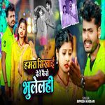 Hamra Sikhai Dene Kaise Bhulelhi