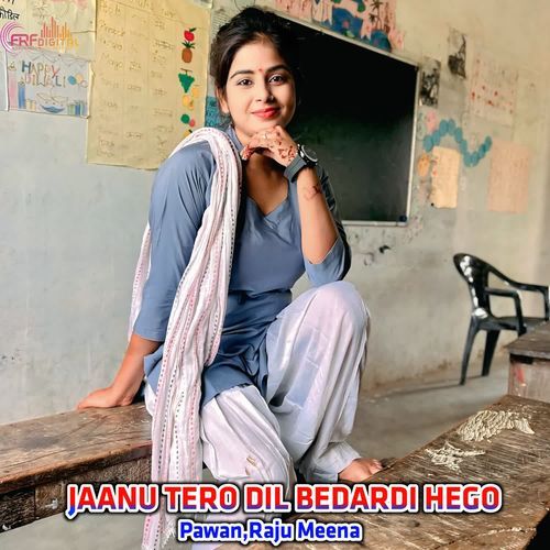 JAANU TERO DIL BEDARDI HEGO