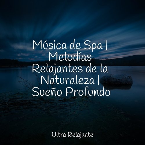 Música de Spa | Melodías Relajantes de la Naturaleza | Sueño Profundo