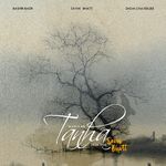 Main Kab Tanha Hua Tha