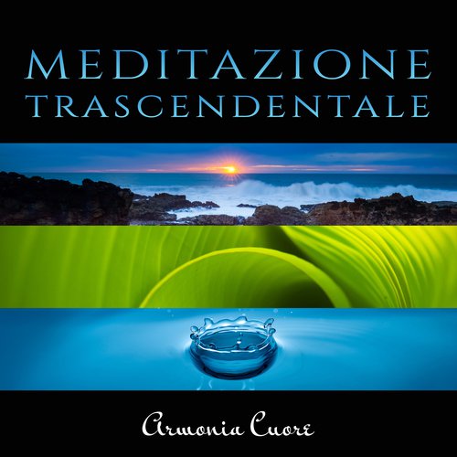 Armonia benessere cover art