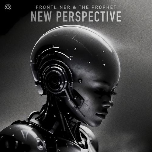 New Perspective_poster_image