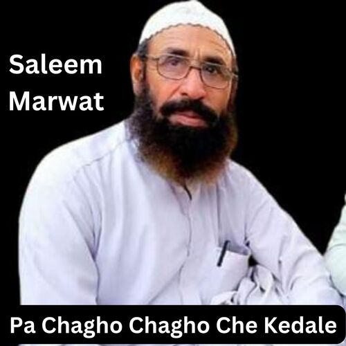 Pa Chagho Chagho Che Kedale_poster_image