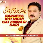 Tussin Phut Kay Ve Dil Cho Nai Niklay Tohaday