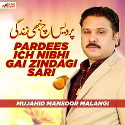 Tussin Phut Kay Ve Dil Cho Nai Niklay Tohaday