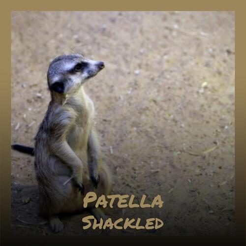 Countrified Journey cover art